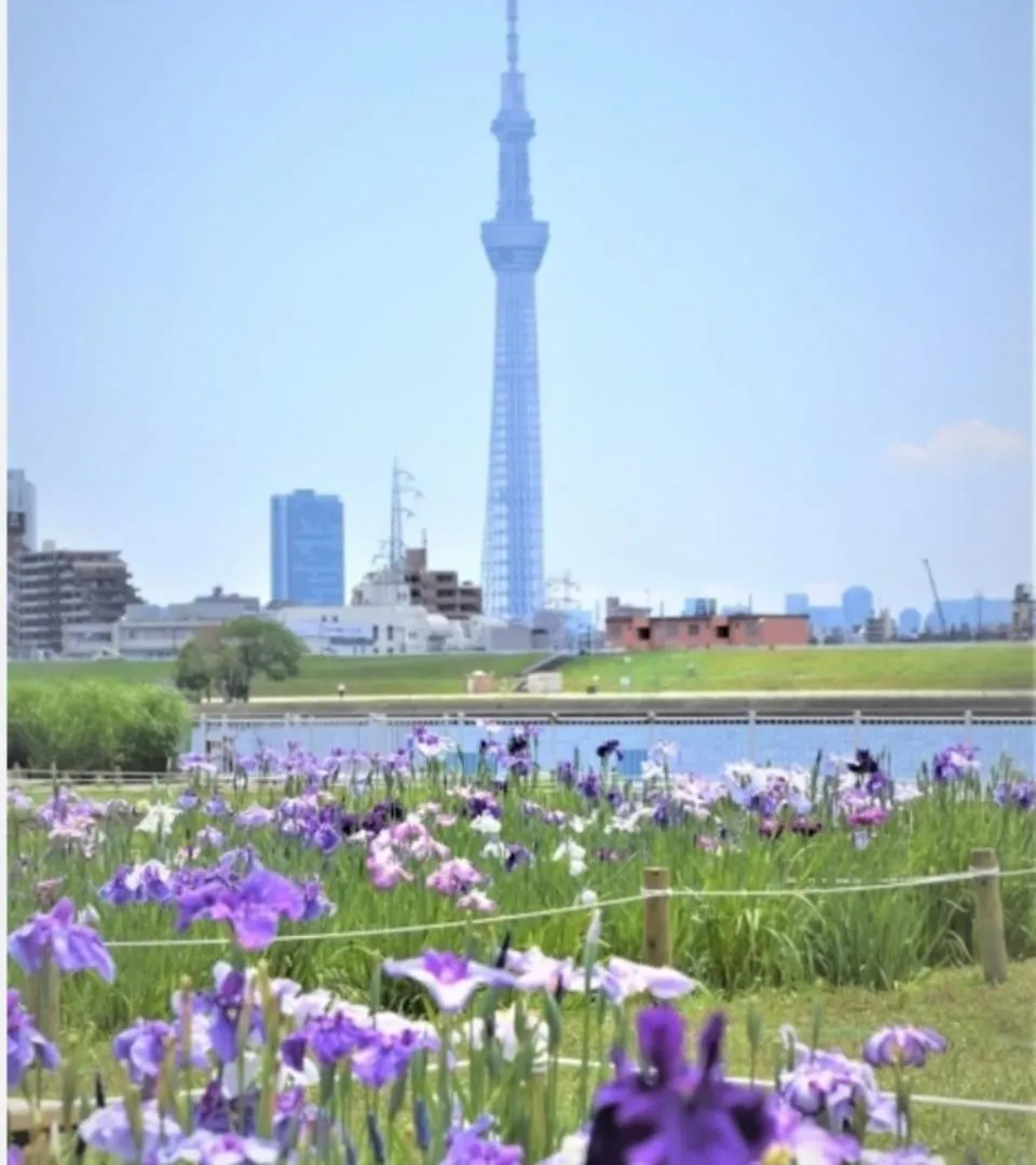アパート 東京都Sunflower 2アパートメント