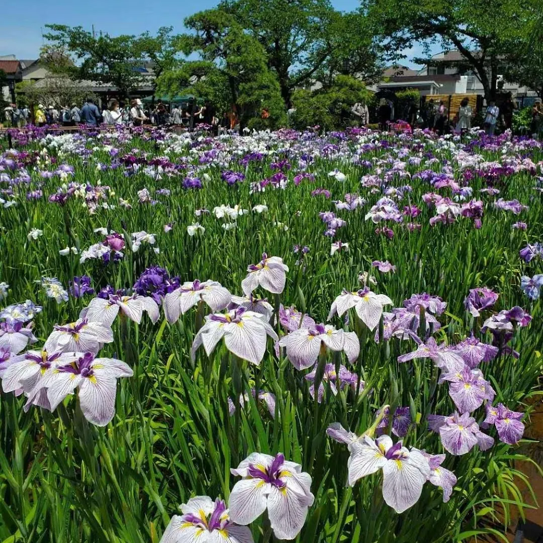 東京都Sunflower 2アパートメント